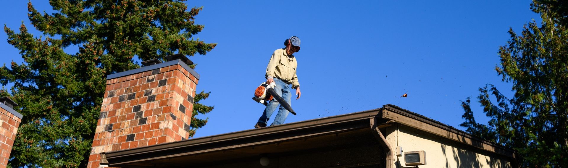 Roof Cleaning and Maintenance